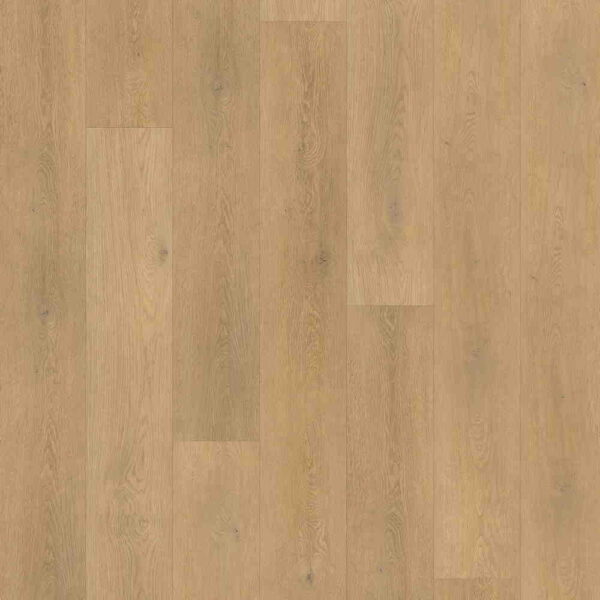 LVT ETER 11