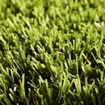 Artificial Grass